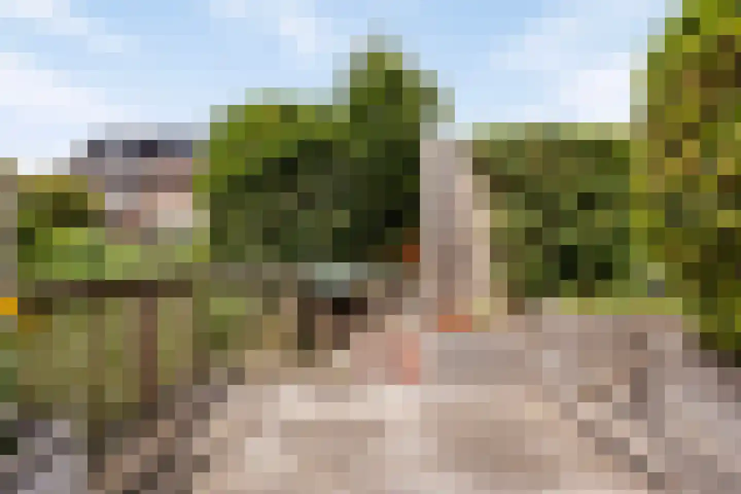 Ringspoor 193 Capelle aan den IJssel thumbnail 12