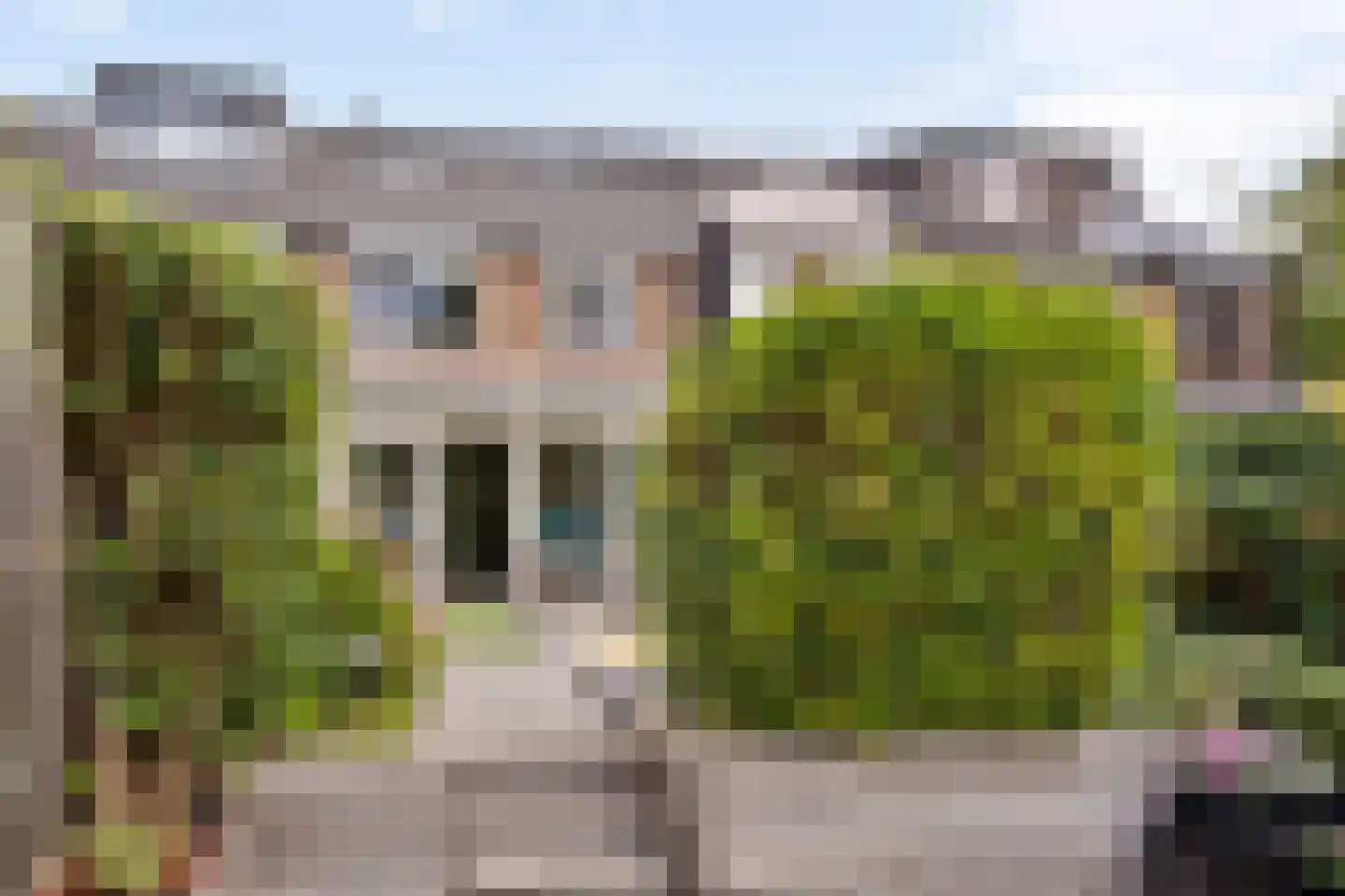 Ringspoor 193 Capelle aan den IJssel thumbnail 15