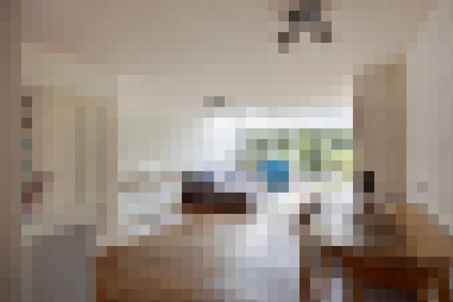 Ringspoor 193 Capelle aan den IJssel thumbnail 4