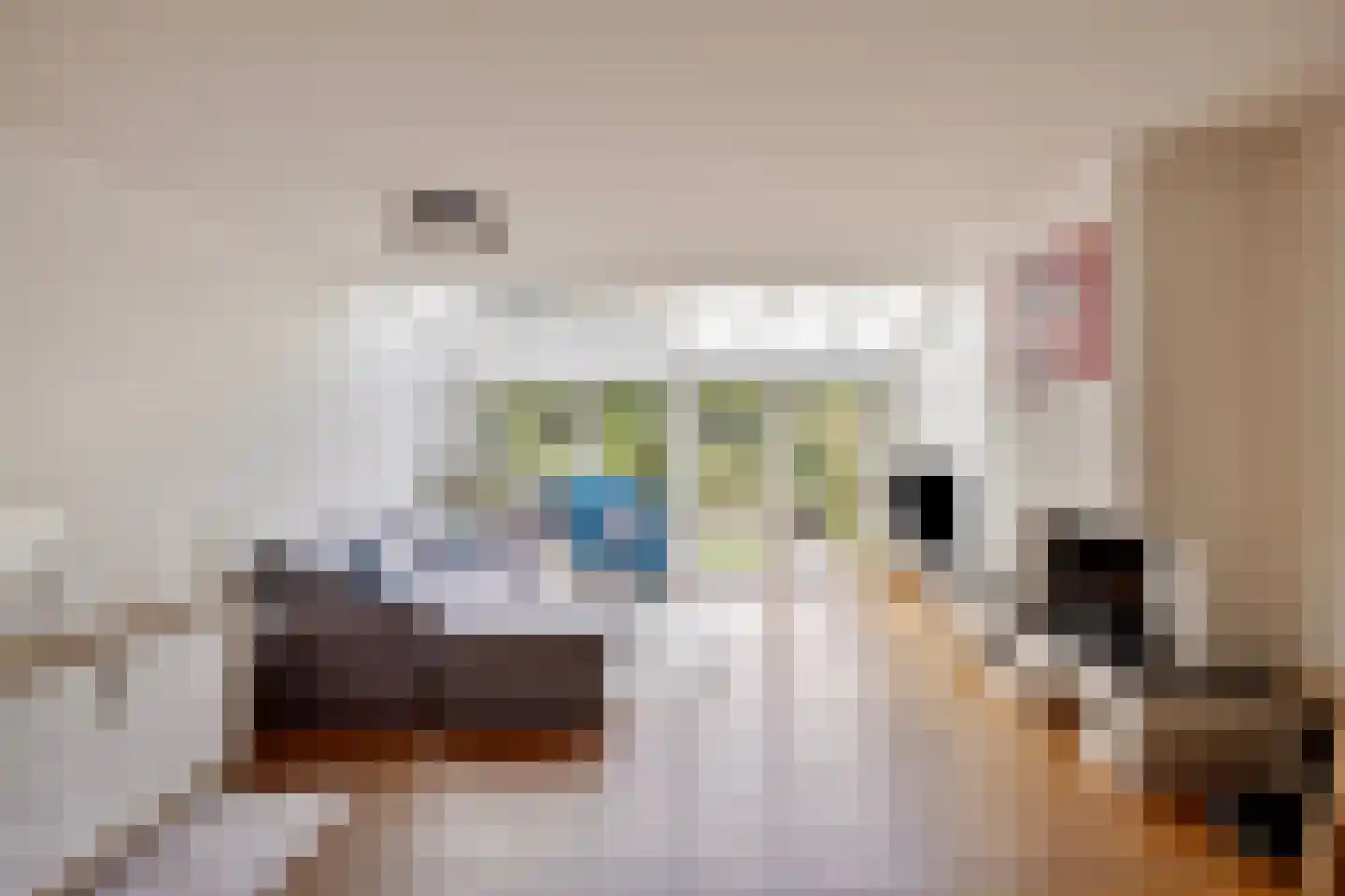 Ringspoor 193 Capelle aan den IJssel thumbnail 5