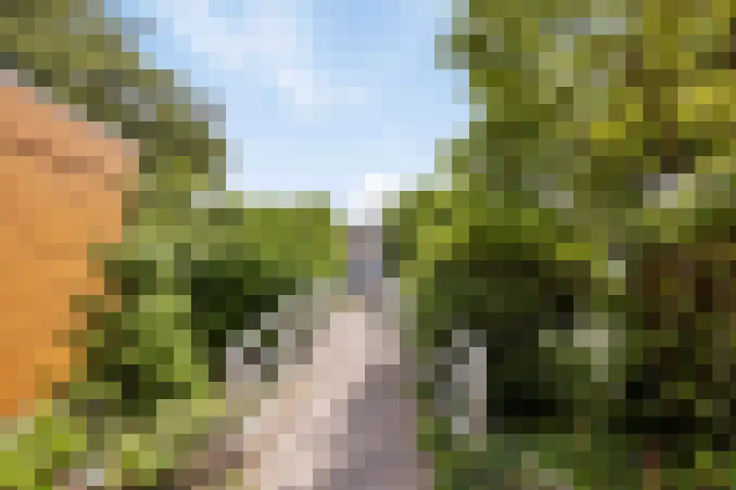 Ringspoor 193 Capelle aan den IJssel thumbnail 51