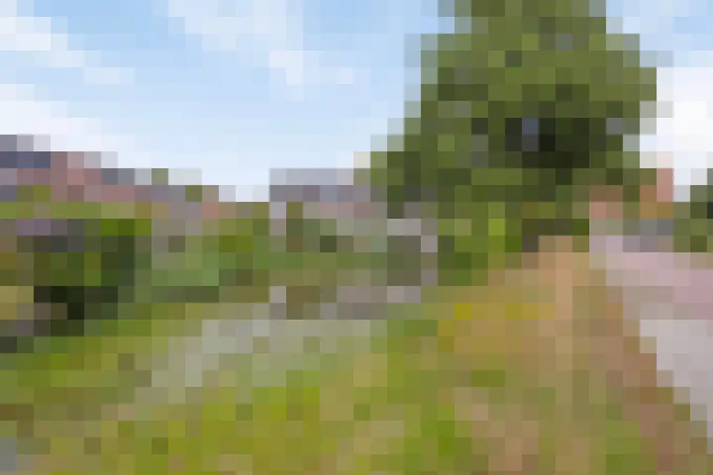 Ringspoor 193 Capelle aan den IJssel thumbnail 52