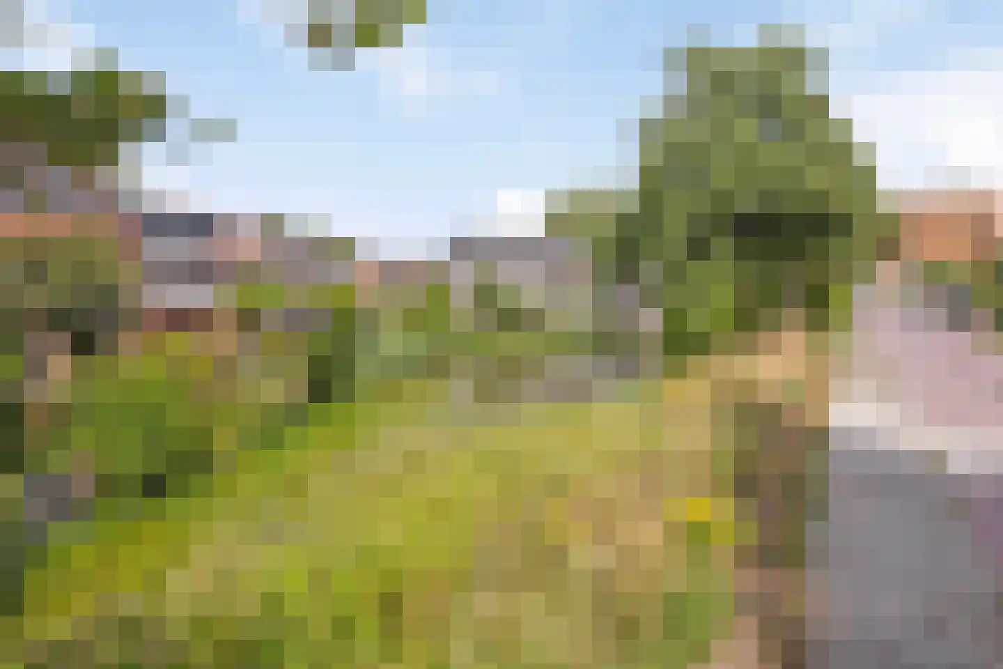 Ringspoor 193 Capelle aan den IJssel thumbnail 53