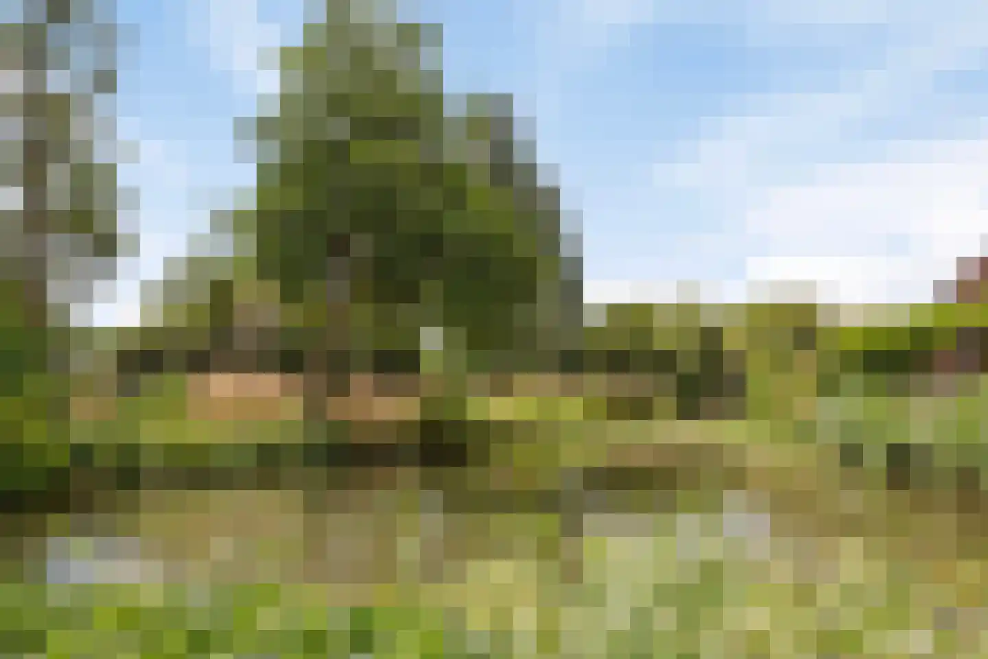 Ringspoor 193 Capelle aan den IJssel thumbnail 56