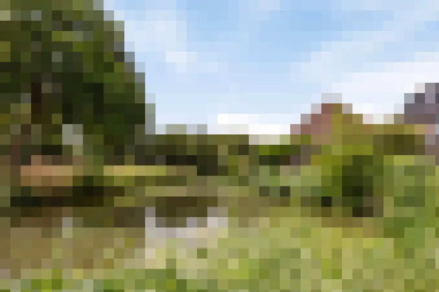 Ringspoor 193 Capelle aan den IJssel thumbnail 57
