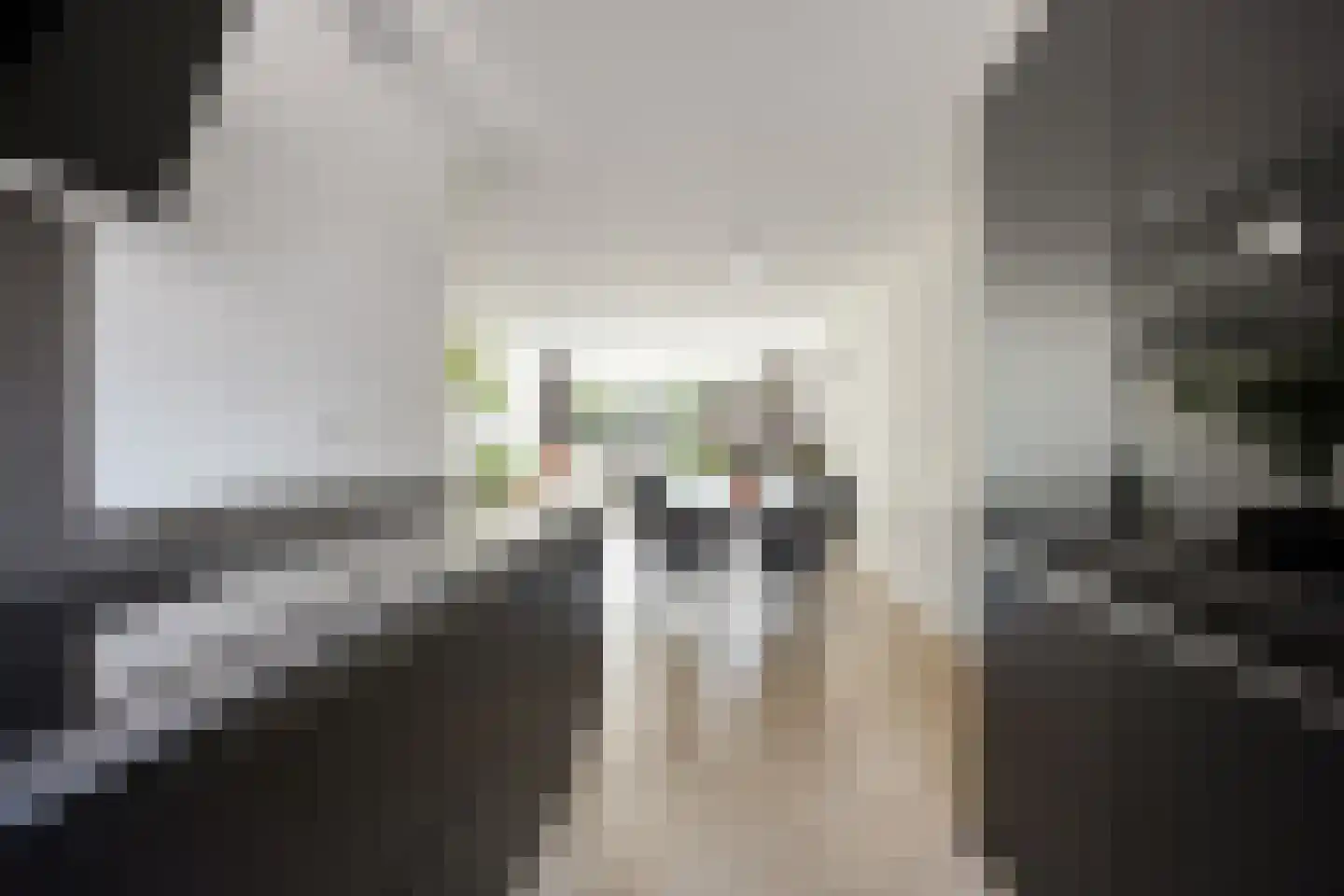Ringspoor 205 Capelle aan den IJssel thumbnail 11
