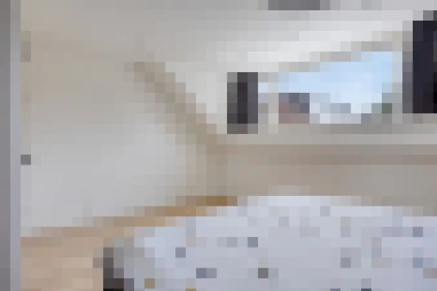 Ringspoor 205 Capelle aan den IJssel thumbnail 16