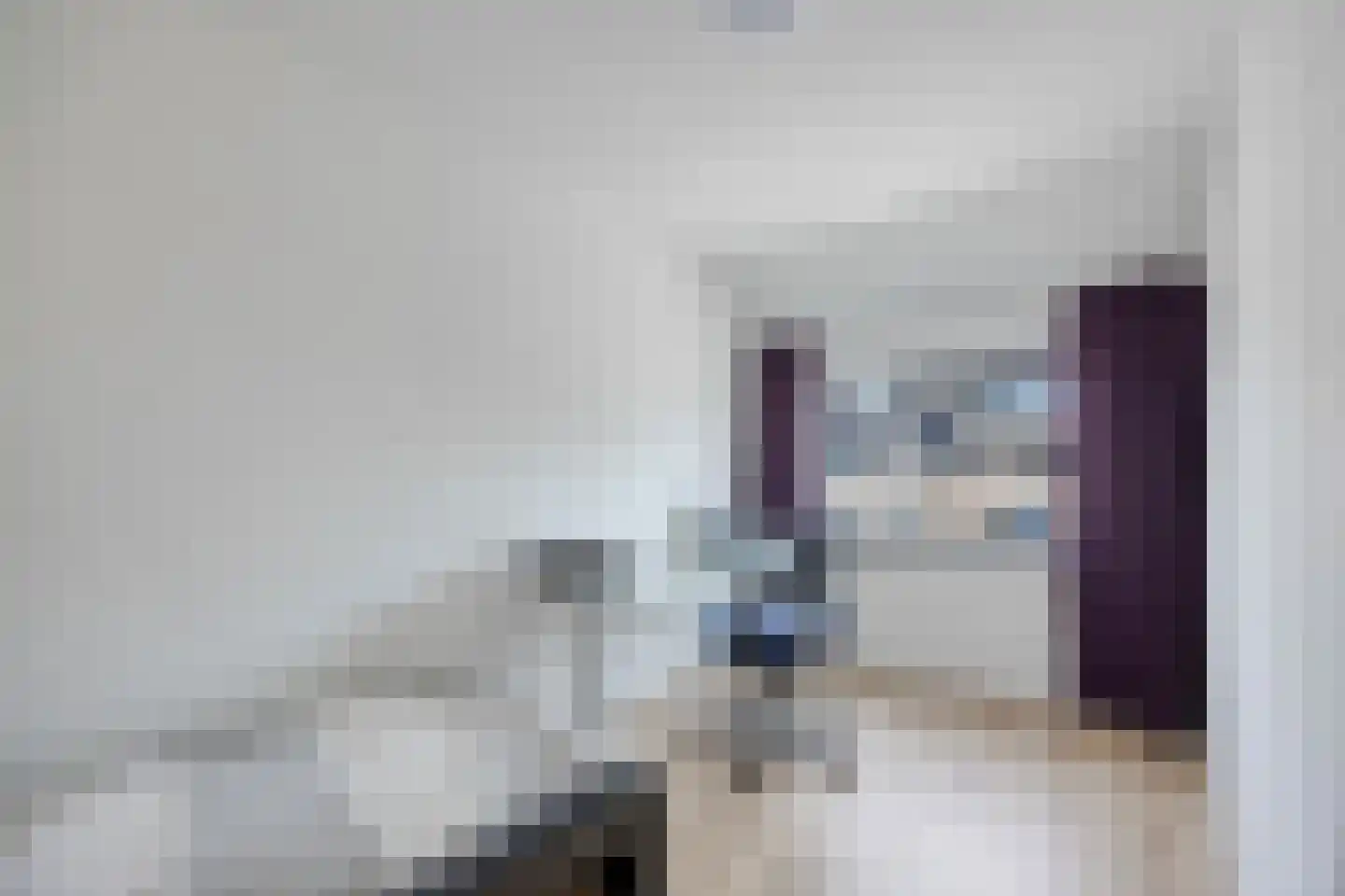 Ringspoor 205 Capelle aan den IJssel thumbnail 18