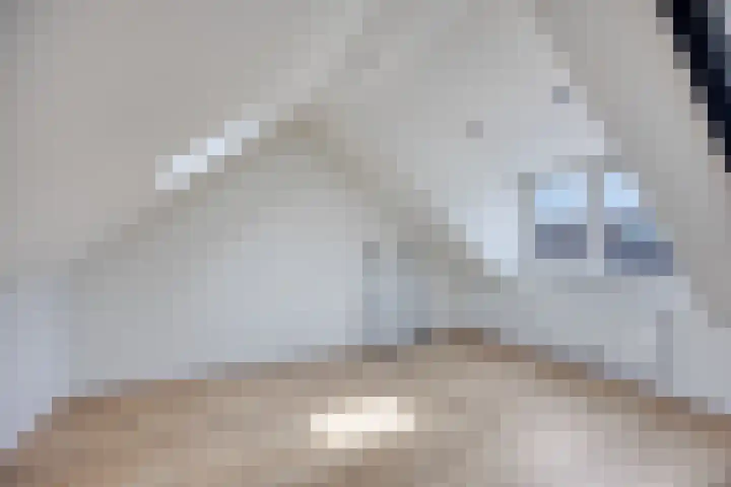 Ringspoor 205 Capelle aan den IJssel thumbnail 19