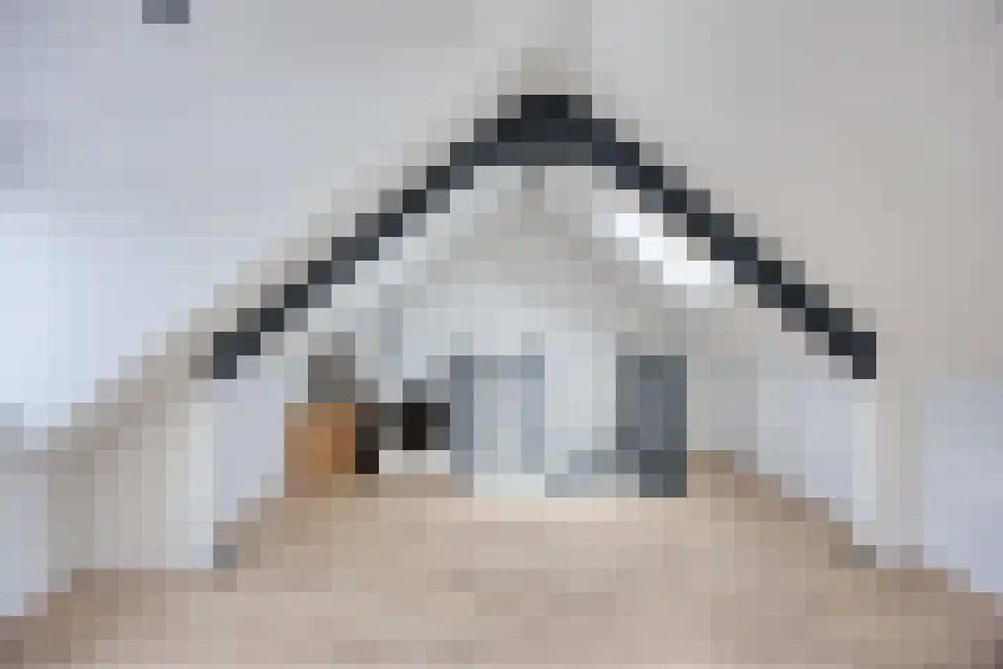 Ringspoor 205 Capelle aan den IJssel thumbnail 20