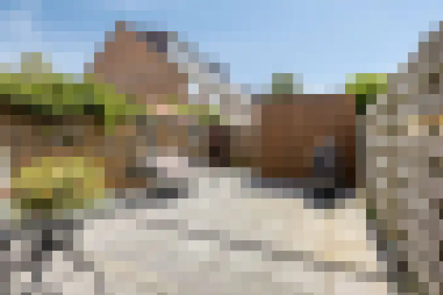 Ringspoor 205 Capelle aan den IJssel thumbnail 22