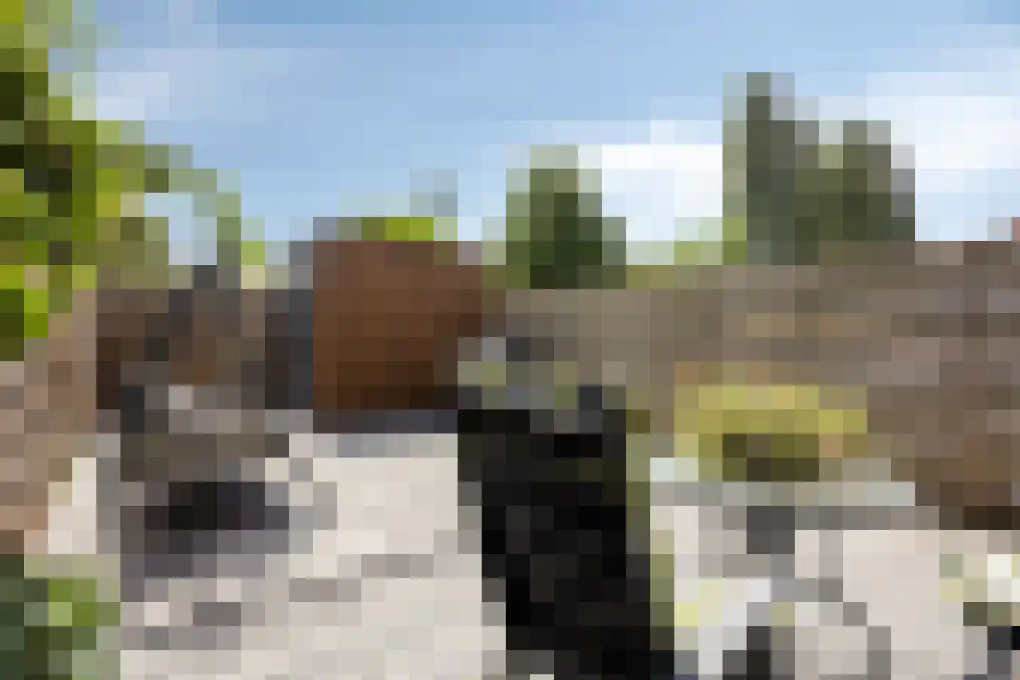 Ringspoor 205 Capelle aan den IJssel thumbnail 23