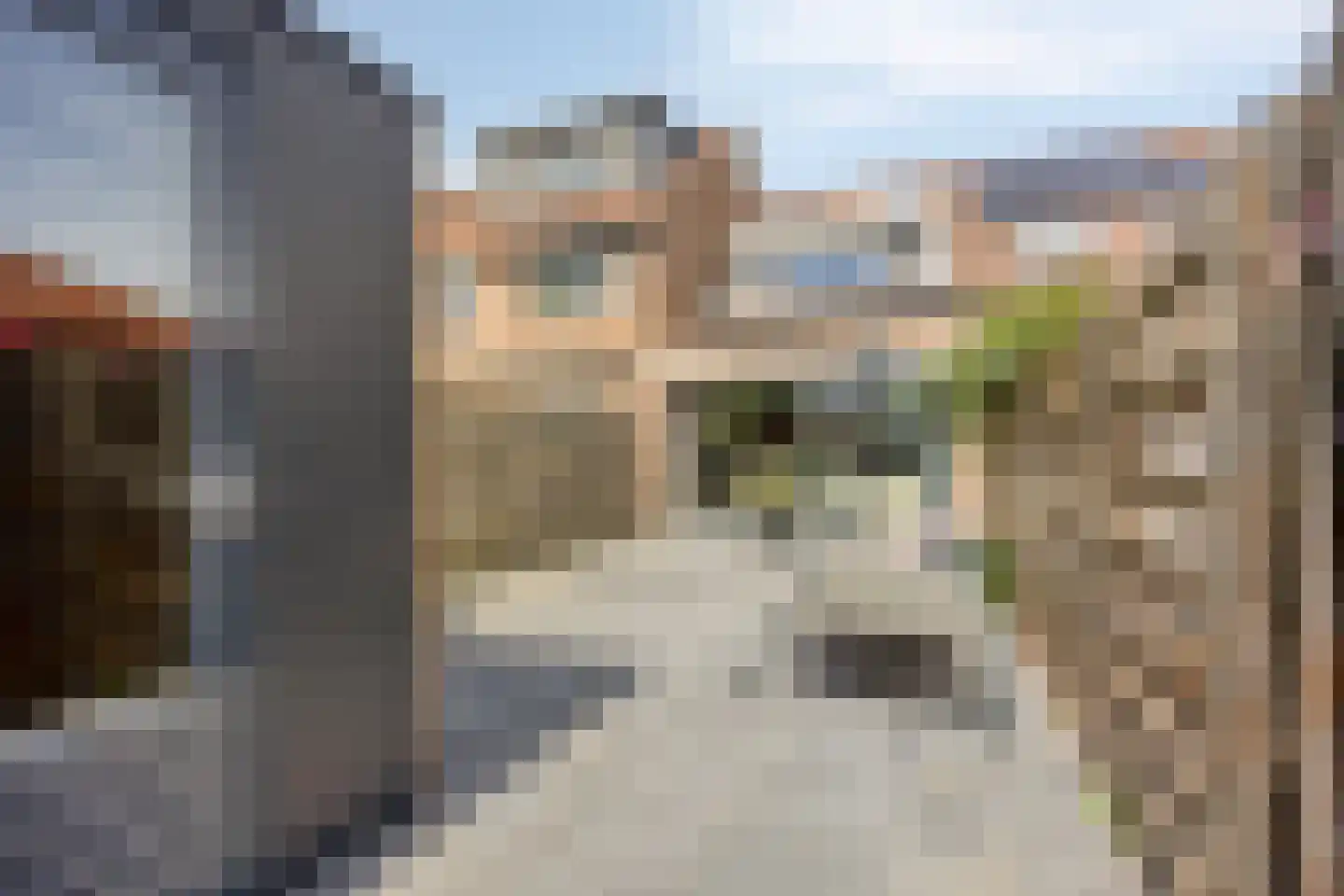 Ringspoor 205 Capelle aan den IJssel thumbnail 24