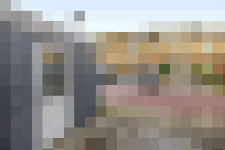 Ringspoor 207 Capelle aan den IJssel thumbnail 13