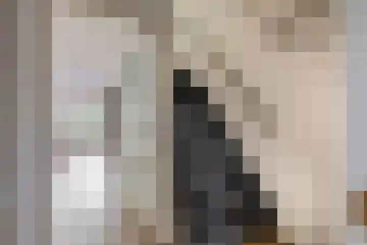 Ringspoor 207 Capelle aan den IJssel thumbnail 15