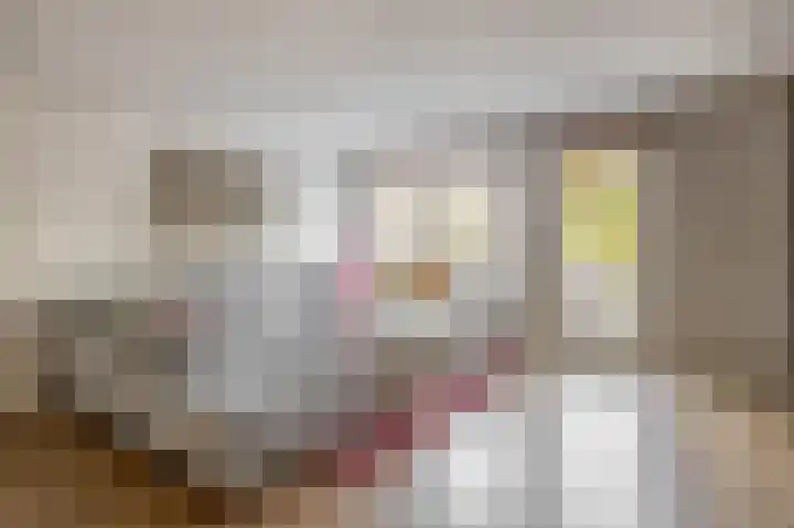 Ringspoor 207 Capelle aan den IJssel thumbnail 16