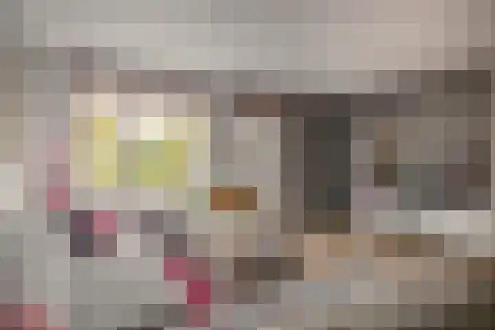 Ringspoor 207 Capelle aan den IJssel thumbnail 17