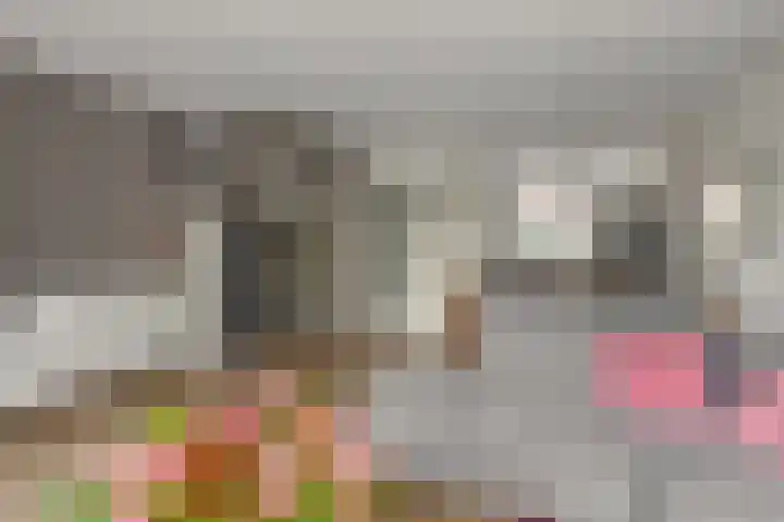 Ringspoor 207 Capelle aan den IJssel thumbnail 20