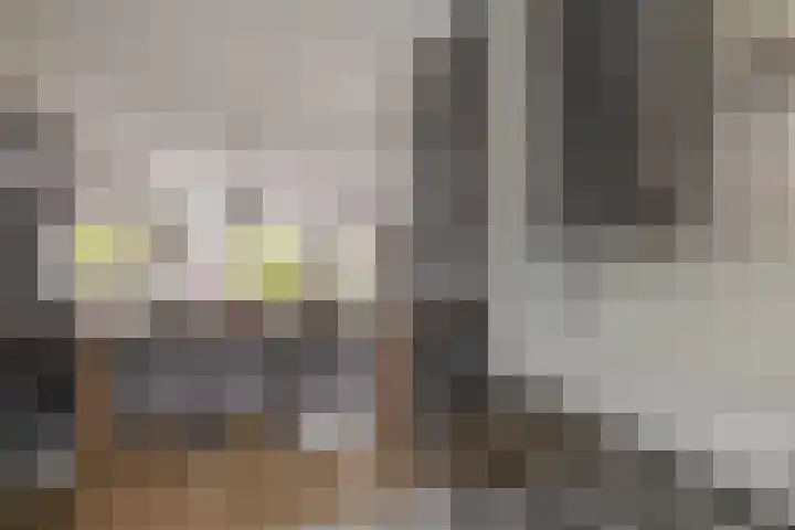 Ringspoor 207 Capelle aan den IJssel thumbnail 23