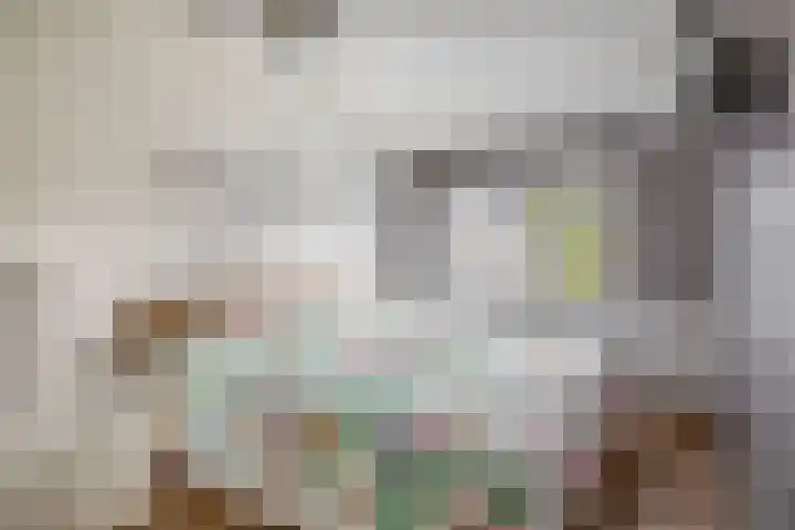 Ringspoor 207 Capelle aan den IJssel thumbnail 27