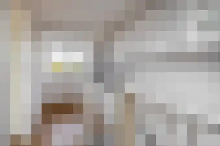Ringspoor 207 Capelle aan den IJssel thumbnail 35