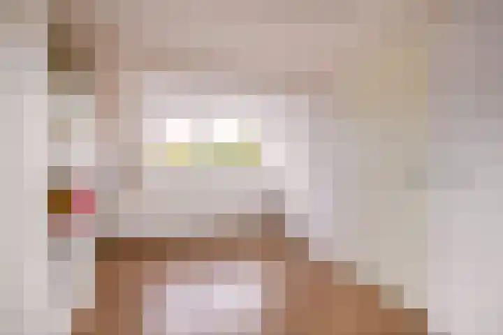 Ringspoor 207 Capelle aan den IJssel thumbnail 36