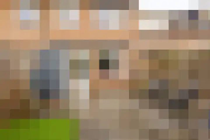 Ringspoor 207 Capelle aan den IJssel thumbnail 38