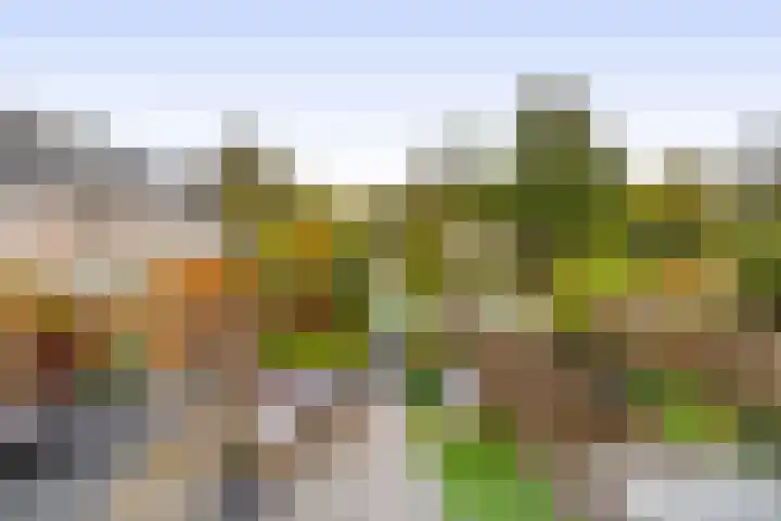Ringspoor 207 Capelle aan den IJssel thumbnail 4
