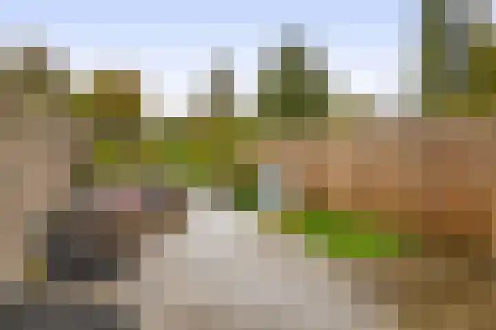 Ringspoor 207 Capelle aan den IJssel thumbnail 40