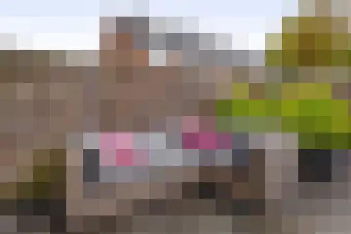 Ringspoor 207 Capelle aan den IJssel thumbnail 41