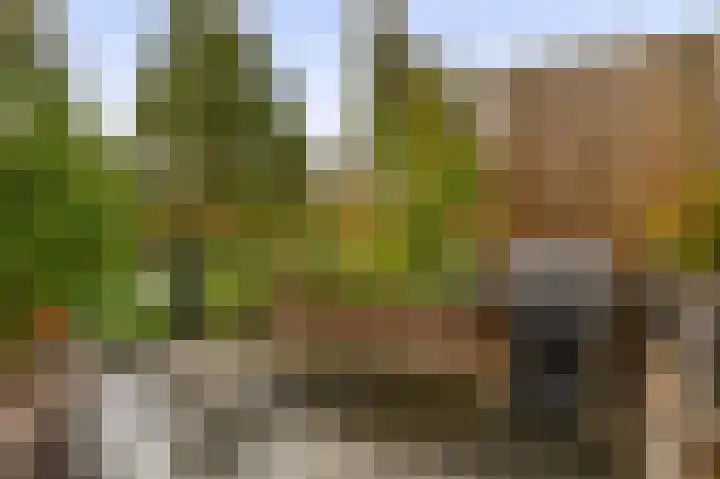 Ringspoor 207 Capelle aan den IJssel thumbnail 42