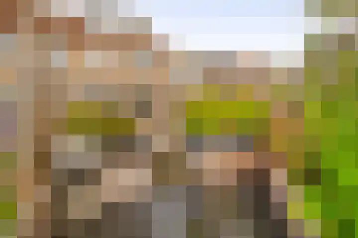 Ringspoor 207 Capelle aan den IJssel thumbnail 43