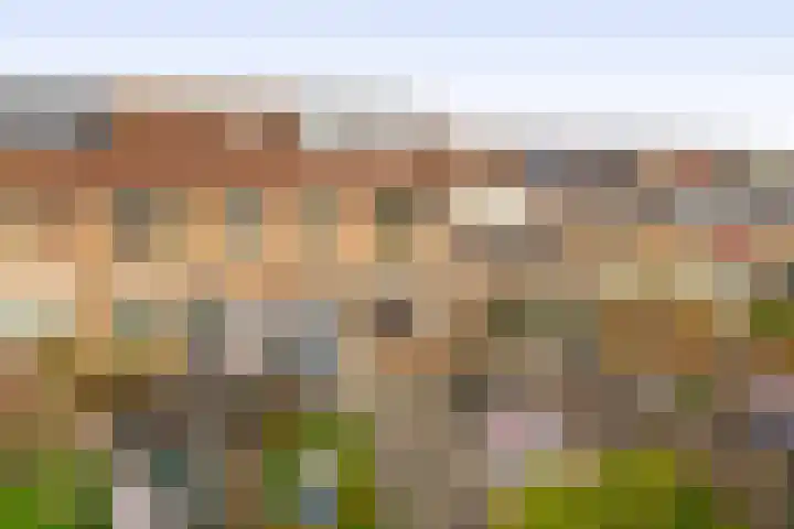 Ringspoor 207 Capelle aan den IJssel thumbnail 44