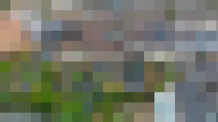 Ringspoor 207 Capelle aan den IJssel thumbnail 48