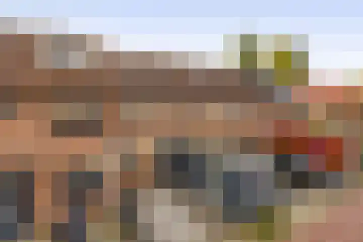 Ringspoor 207 Capelle aan den IJssel thumbnail 6