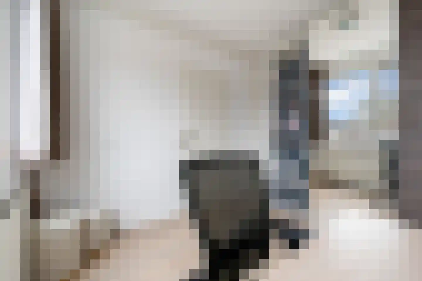 Ringspoor 28 Capelle aan den IJssel thumbnail 13