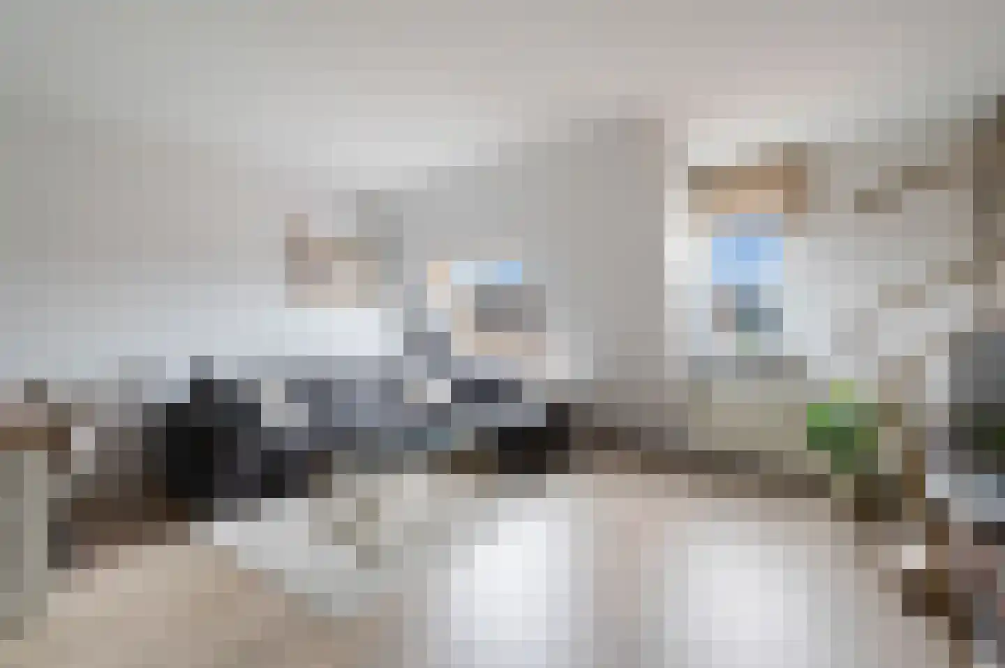 Ringspoor 28 Capelle aan den IJssel thumbnail 15