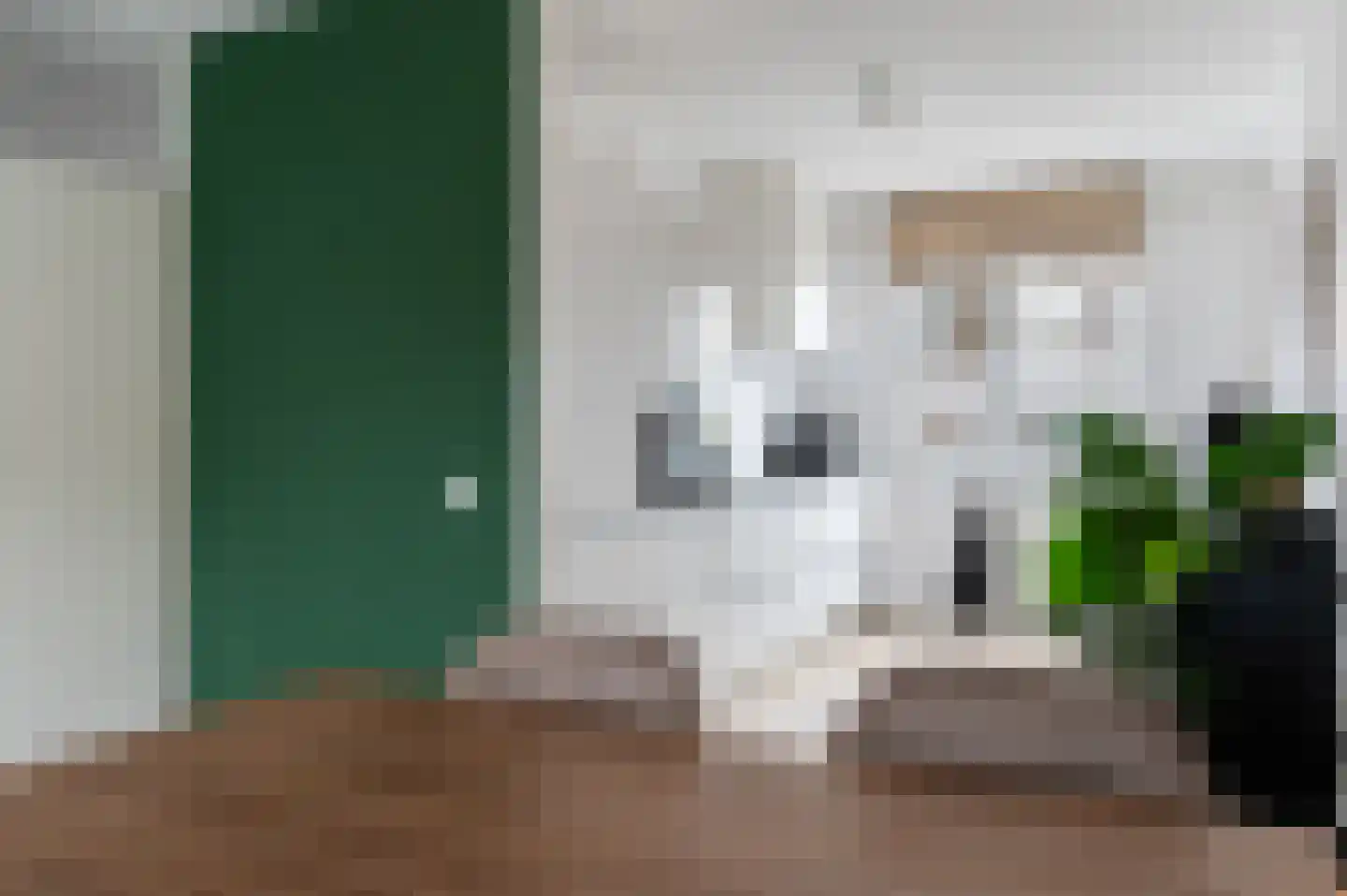 Ringspoor 28 Capelle aan den IJssel thumbnail 20