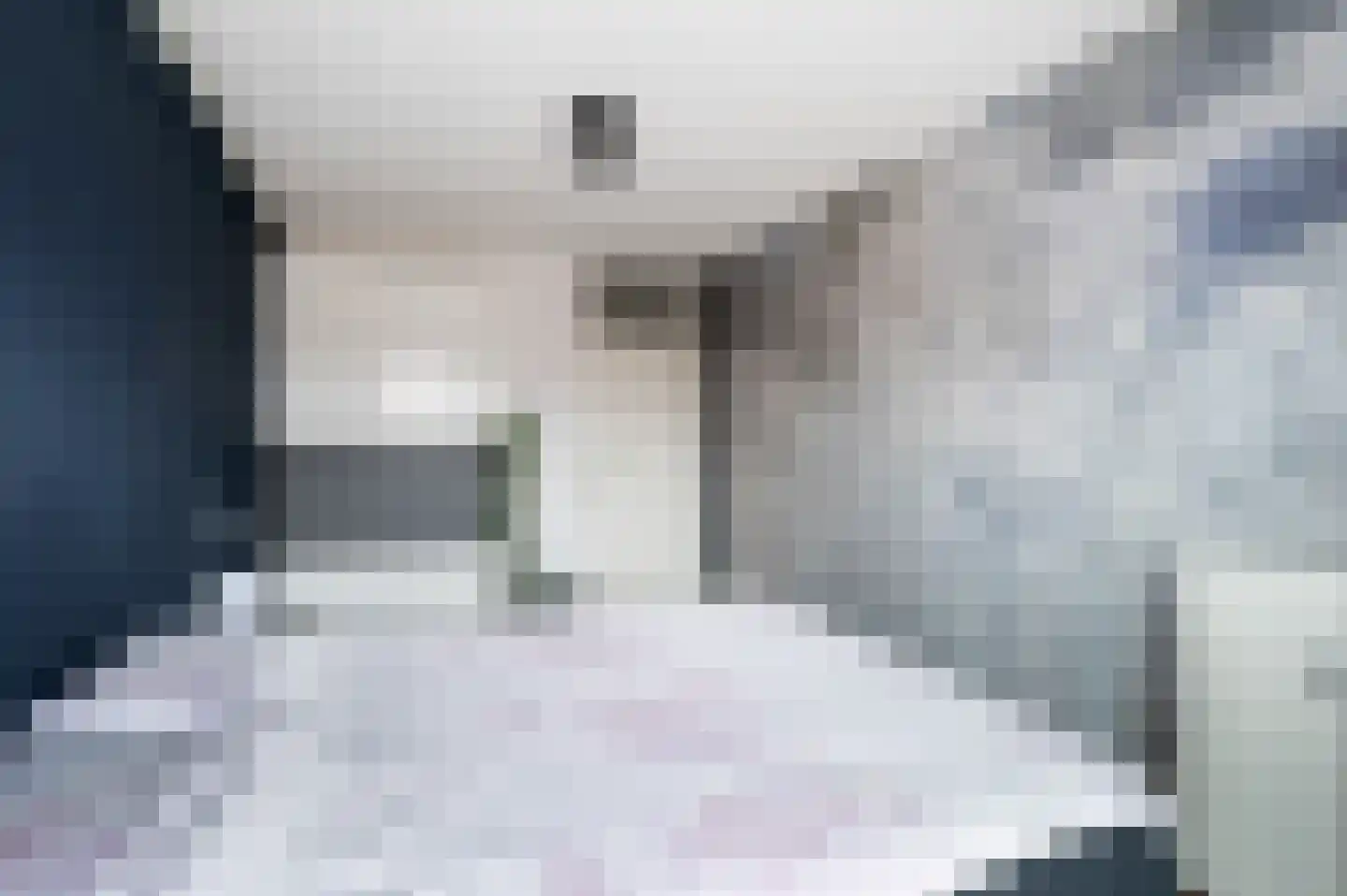Ringspoor 28 Capelle aan den IJssel thumbnail 24