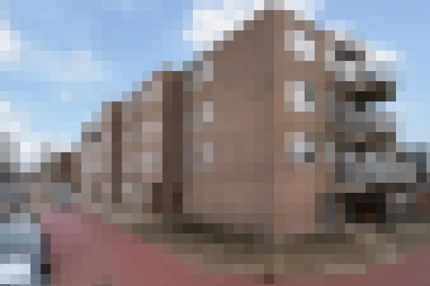 Ringspoor 28 Capelle aan den IJssel thumbnail 30