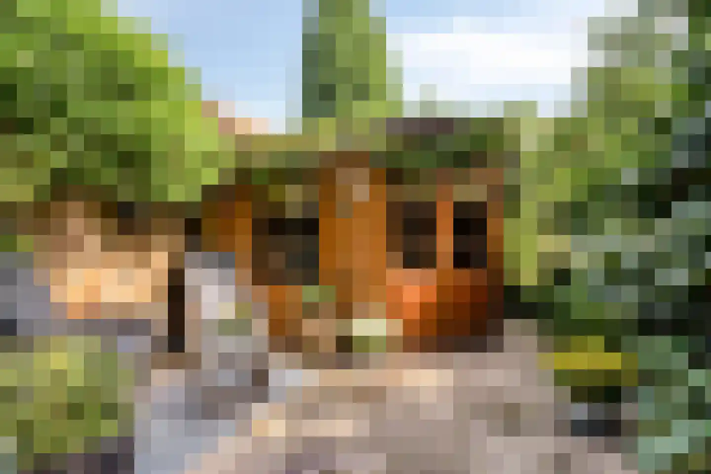 Ringspoor 4 Capelle aan den IJssel thumbnail 10