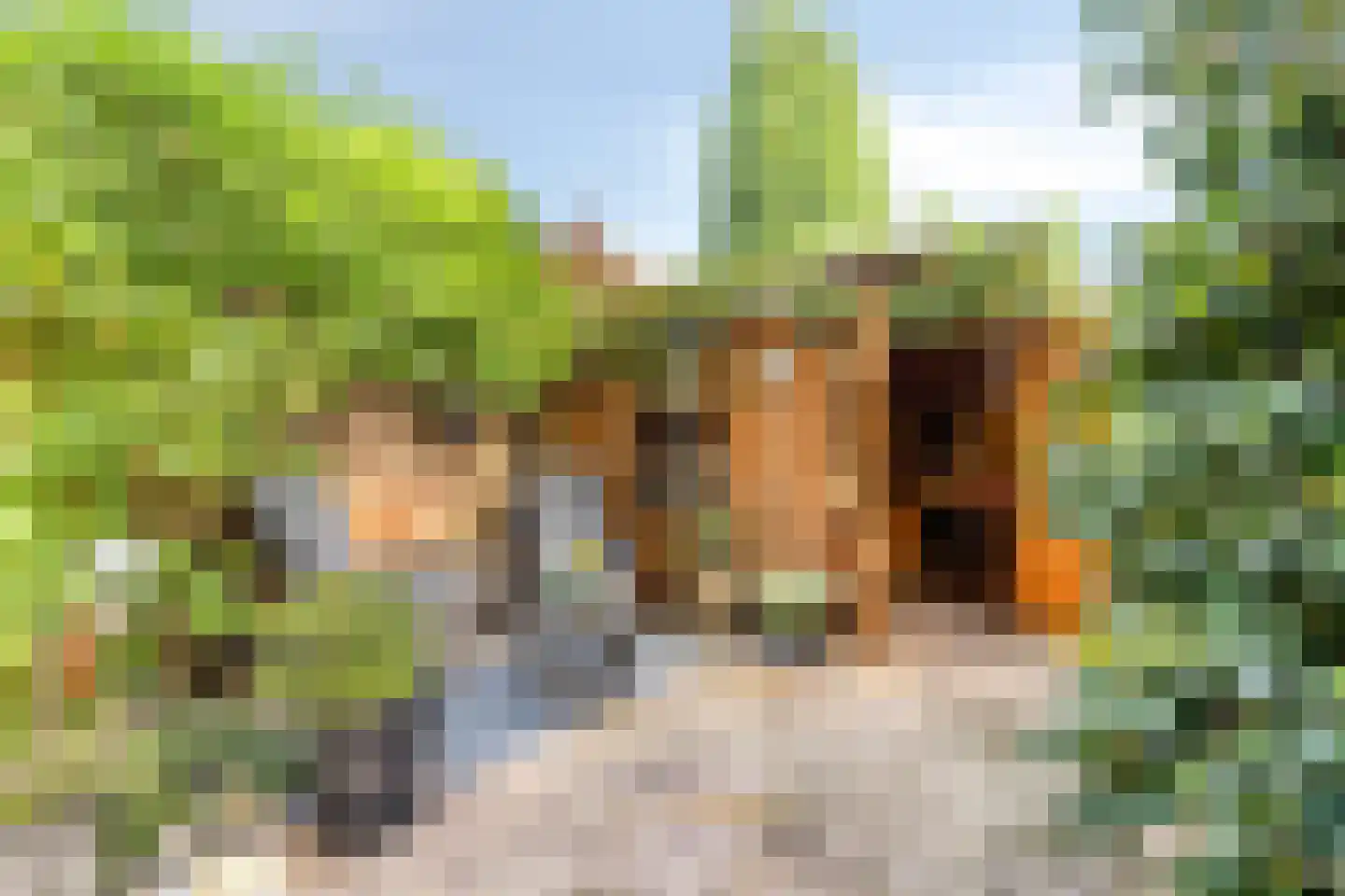 Ringspoor 4 Capelle aan den IJssel thumbnail 11