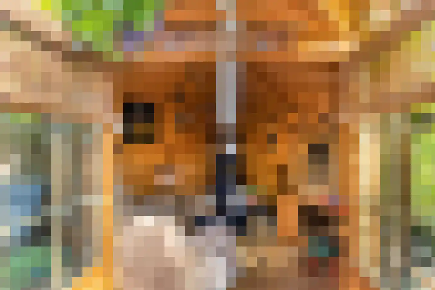 Ringspoor 4 Capelle aan den IJssel thumbnail 12