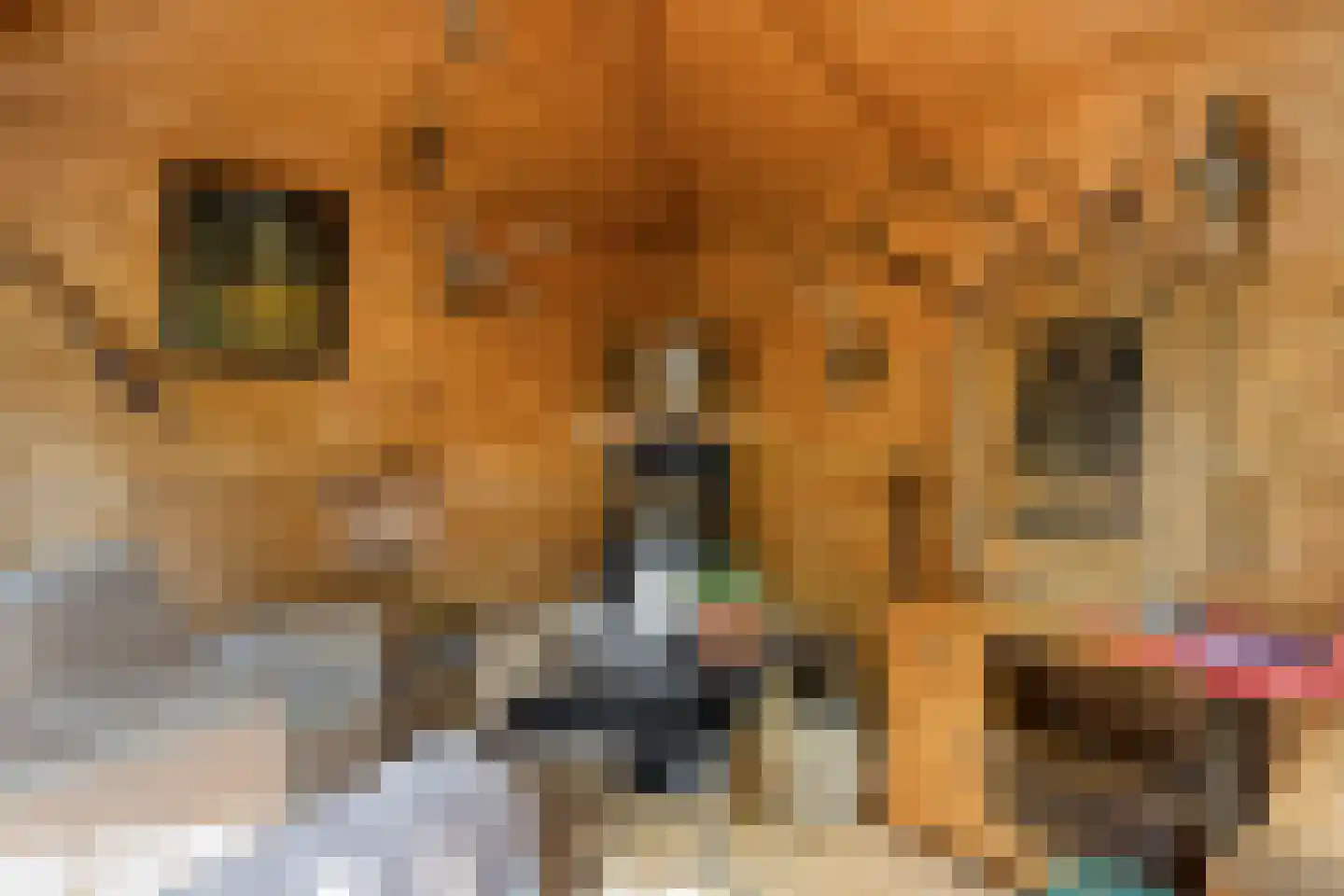 Ringspoor 4 Capelle aan den IJssel thumbnail 13