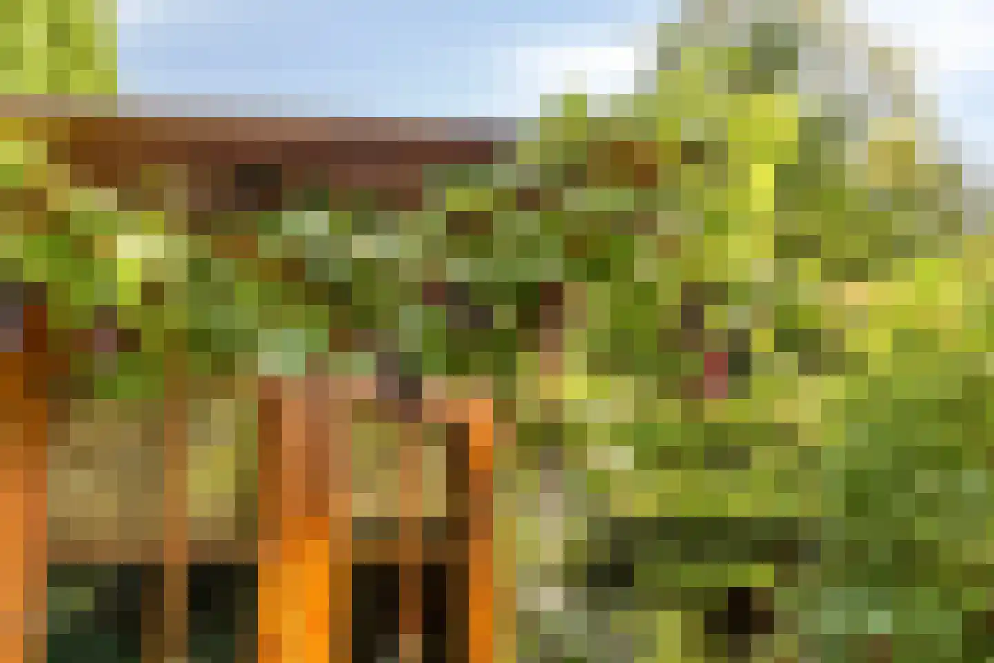 Ringspoor 4 Capelle aan den IJssel thumbnail 14