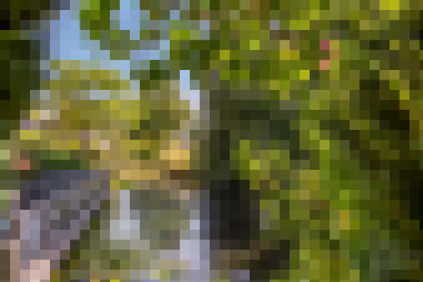 Ringspoor 4 Capelle aan den IJssel thumbnail 15