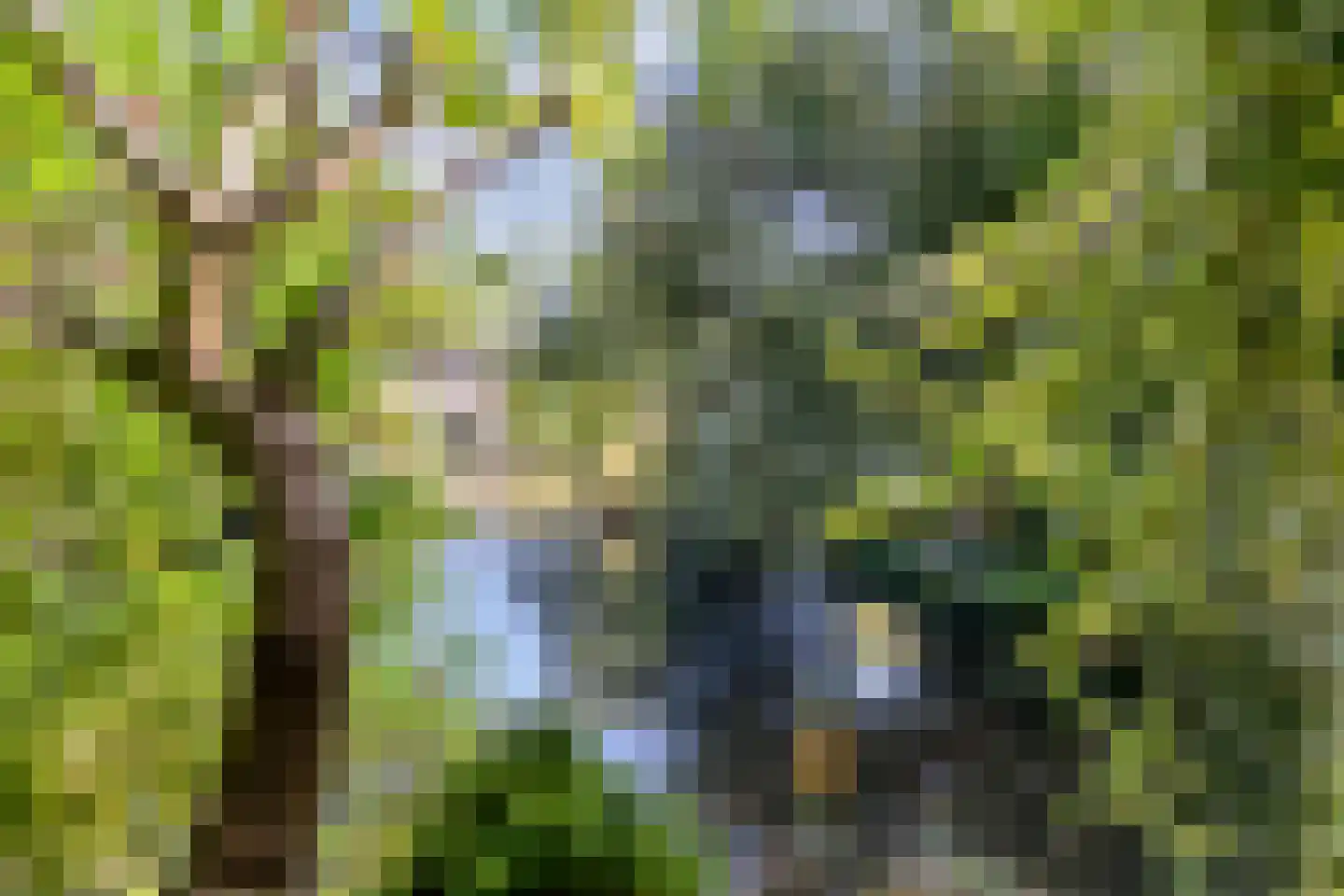 Ringspoor 4 Capelle aan den IJssel thumbnail 16