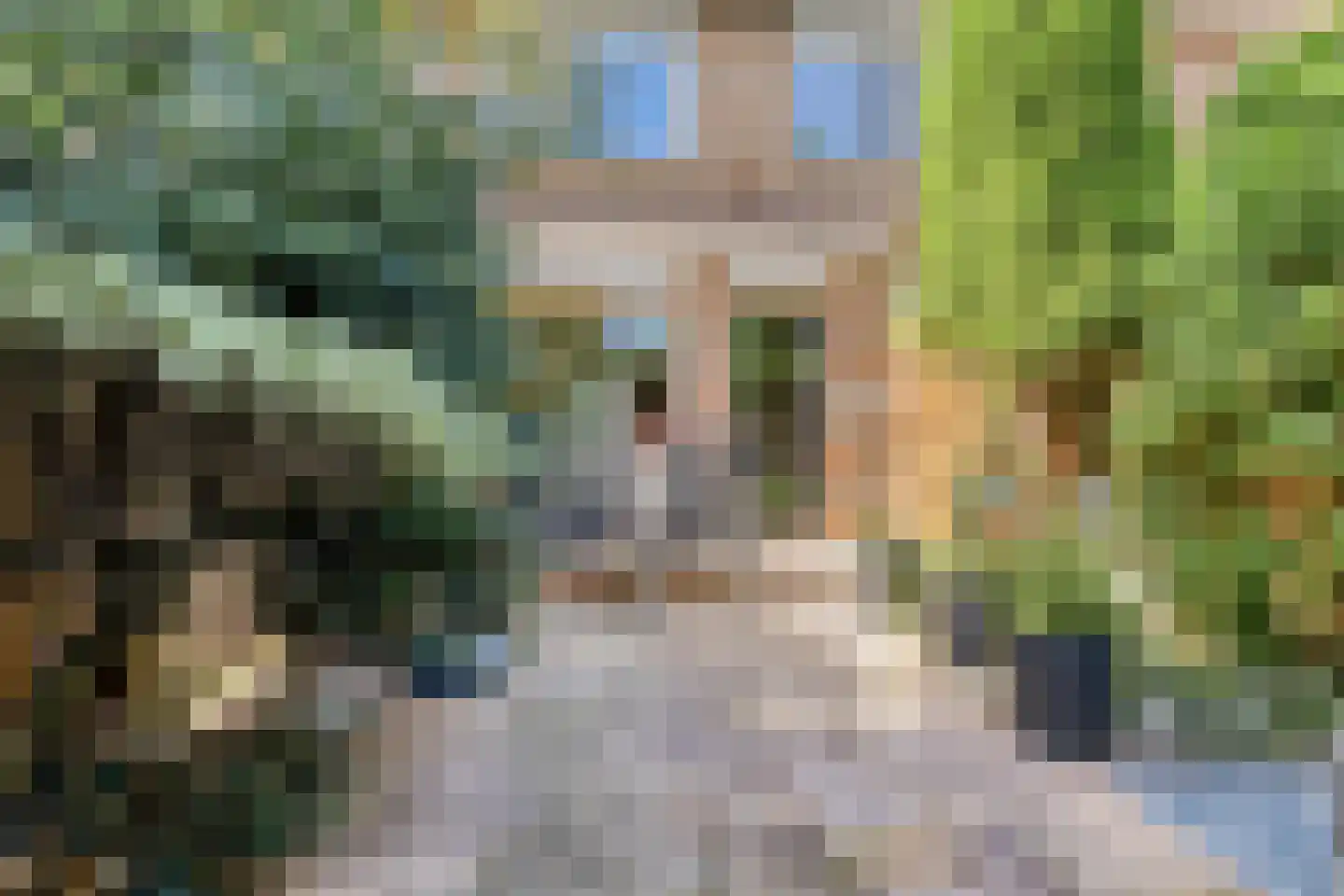 Ringspoor 4 Capelle aan den IJssel thumbnail 18