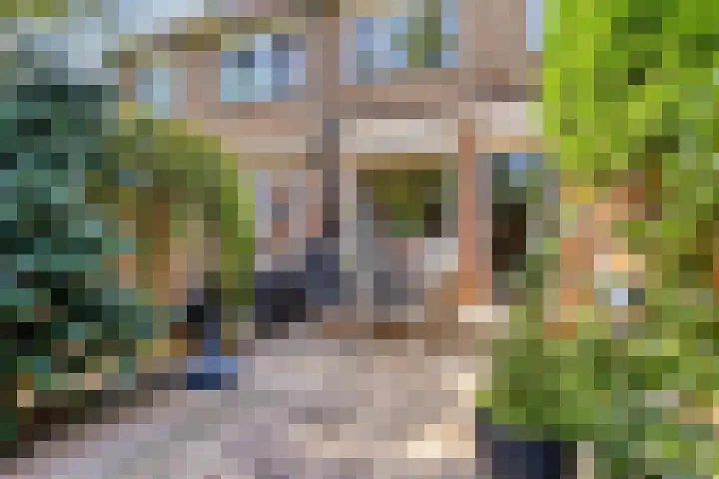 Ringspoor 4 Capelle aan den IJssel thumbnail 19