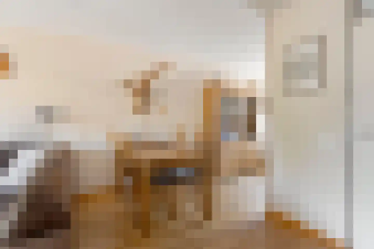 Ringspoor 4 Capelle aan den IJssel thumbnail 21